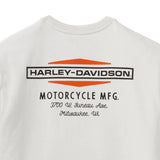 Harley-Davidson Men's Stacked Graphic Double Logo T-Shirt, 96171-22VM (print detail)