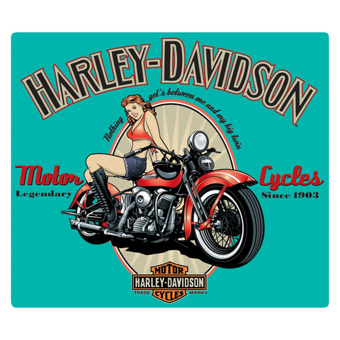Harley-Davidson® Legendary Babe Tin Sign - 2010361.